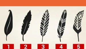 Każde z piór ma ukryte znaczenie. Wybierz jedno i dowiedz się, co to o tobie mówi