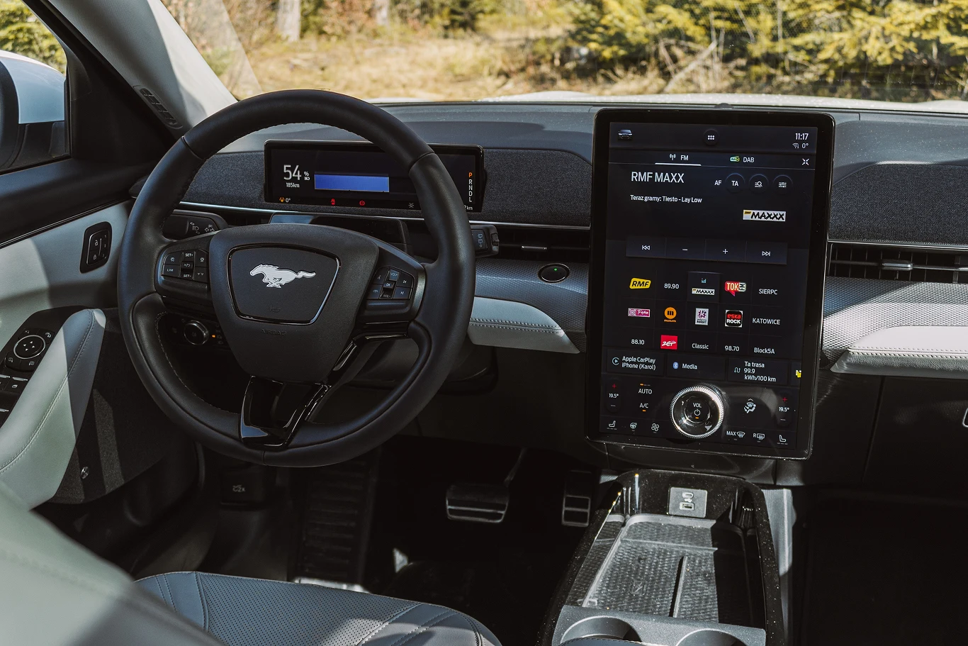 Ford Mustang Mach-E Frost White