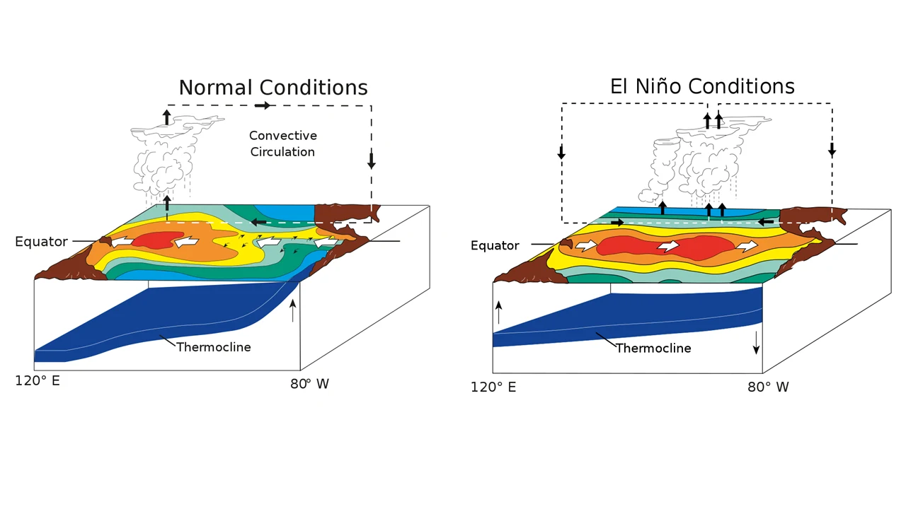 Porównanie warunków normalnych (po lewej) i El Niño (po prawej)