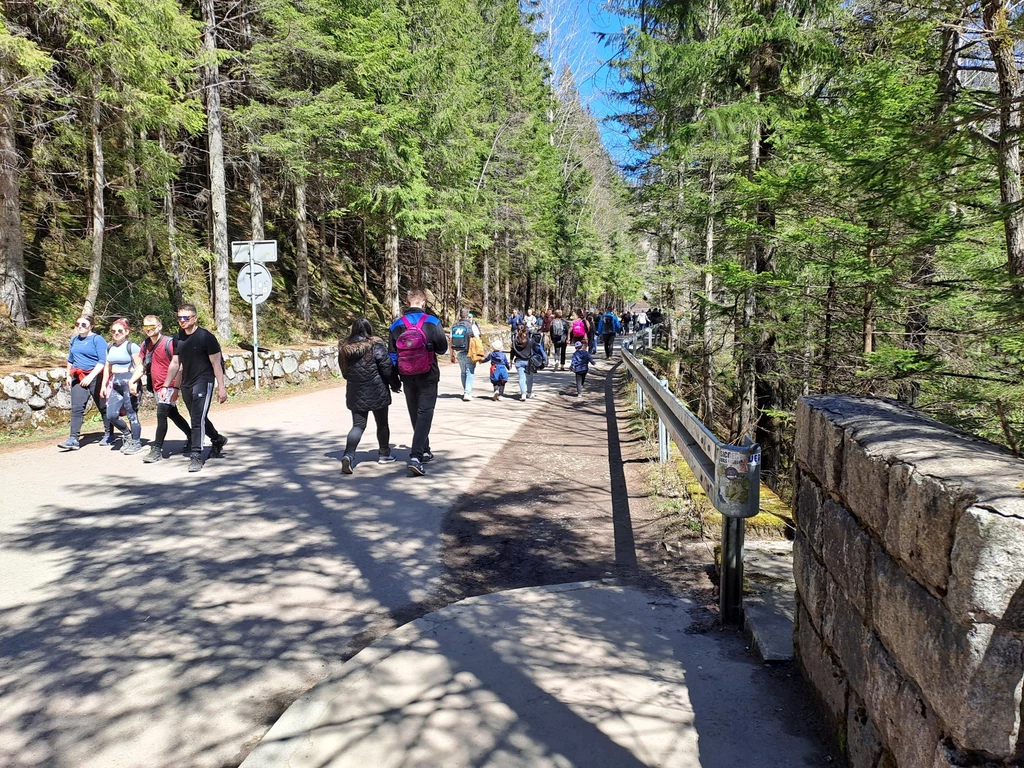 Tatry w pierwszy wiosenny długi weekend przeżywają prawdziwe oblężenie /fot. Katarzyna Piątkowska