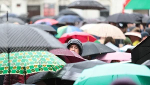 W 2022 roku państwo z tytułu opłaty deszczowej zarobiło 7,6 mln zł