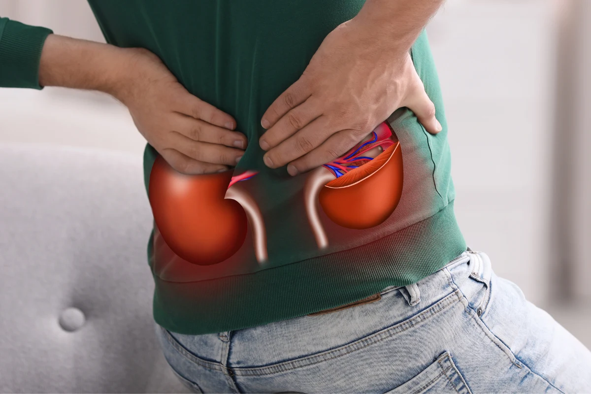 Niewydolność nerek jest bardzo niebezpieczna. Długo nie daje objawów Niewydolność nerek jest bardzo niebezpieczna. Długo nie daje objawów