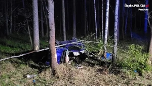 Kobieta uderzyła w stojącego na drodze łosia