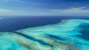 Czy rafy koralowe przetrwają globalne ocieplenie?