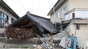Trzęsienie ziemi na japońskiej wyspie Honsiu. Otwierają się centra ewakuacyjne