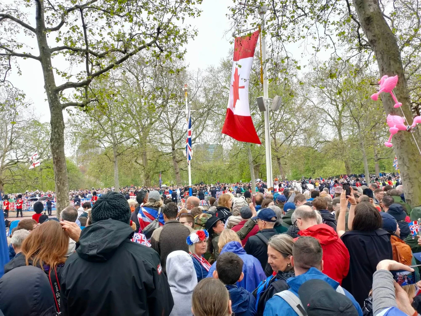Tłumy wypatrujące przyjazdu Karola III w karecie Tłumy wypatrujące przyjazdu Karola III w karecie