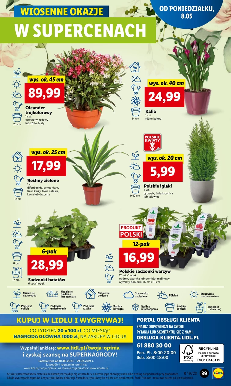 leaflet page preview image