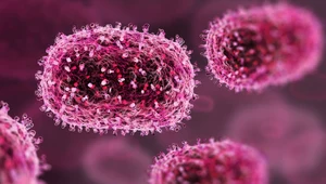 Wirus mpox rozprzestrzenia się m.in. drogą kropelkową