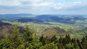 Widok na Beskid Wyspowy