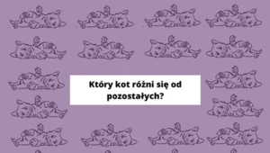 Test na spostrzegawczość: Który kot jest inny od reszty? Tylko 5% zauważy!