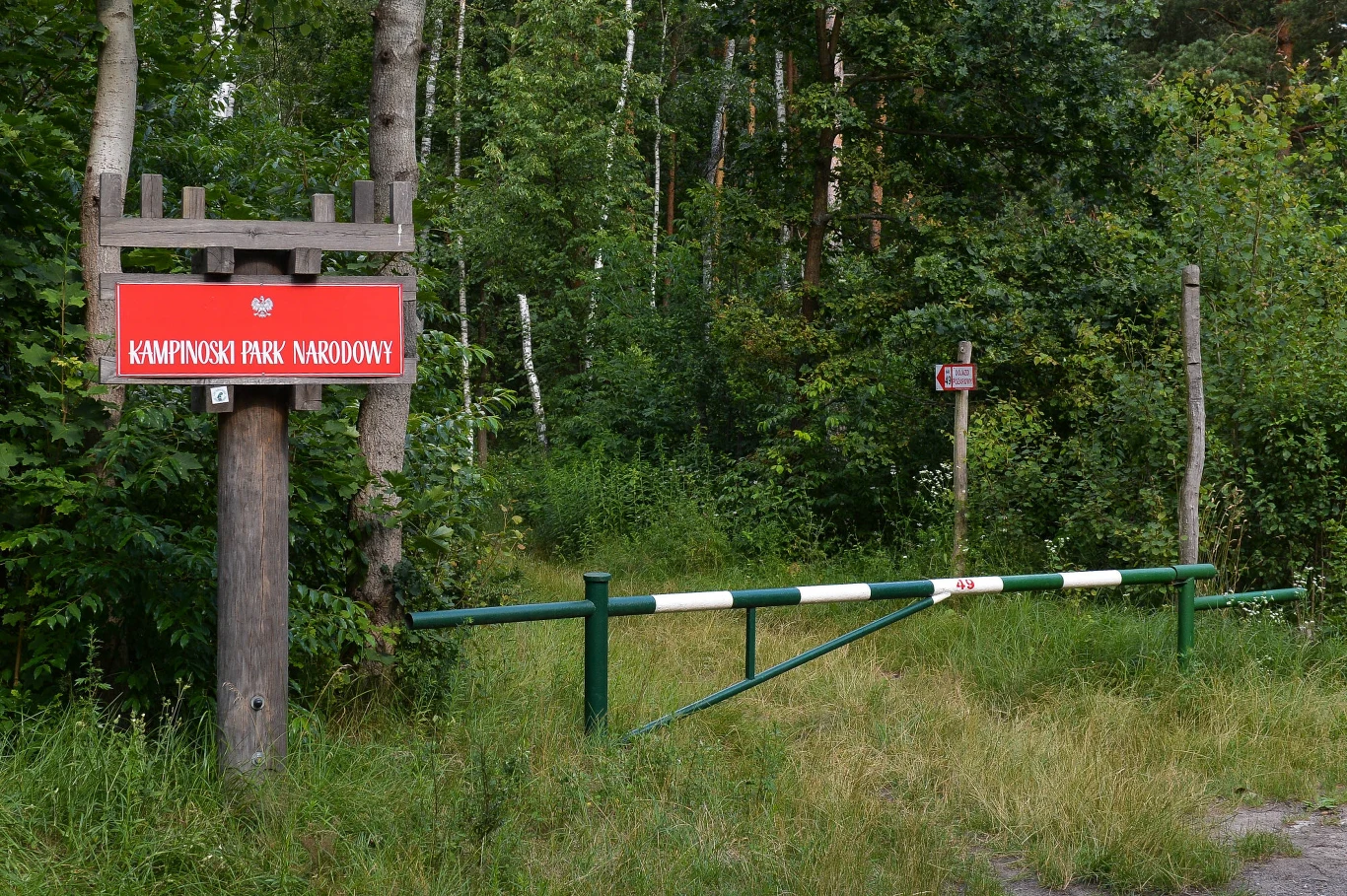 Do lasów państwowych i parków narodowych nie wolno wjeżdżać samochodem bez stosownych uprawnień Do lasów państwowych i parków narodowych nie wolno wjeżdżać samochodem bez stosownych uprawnień