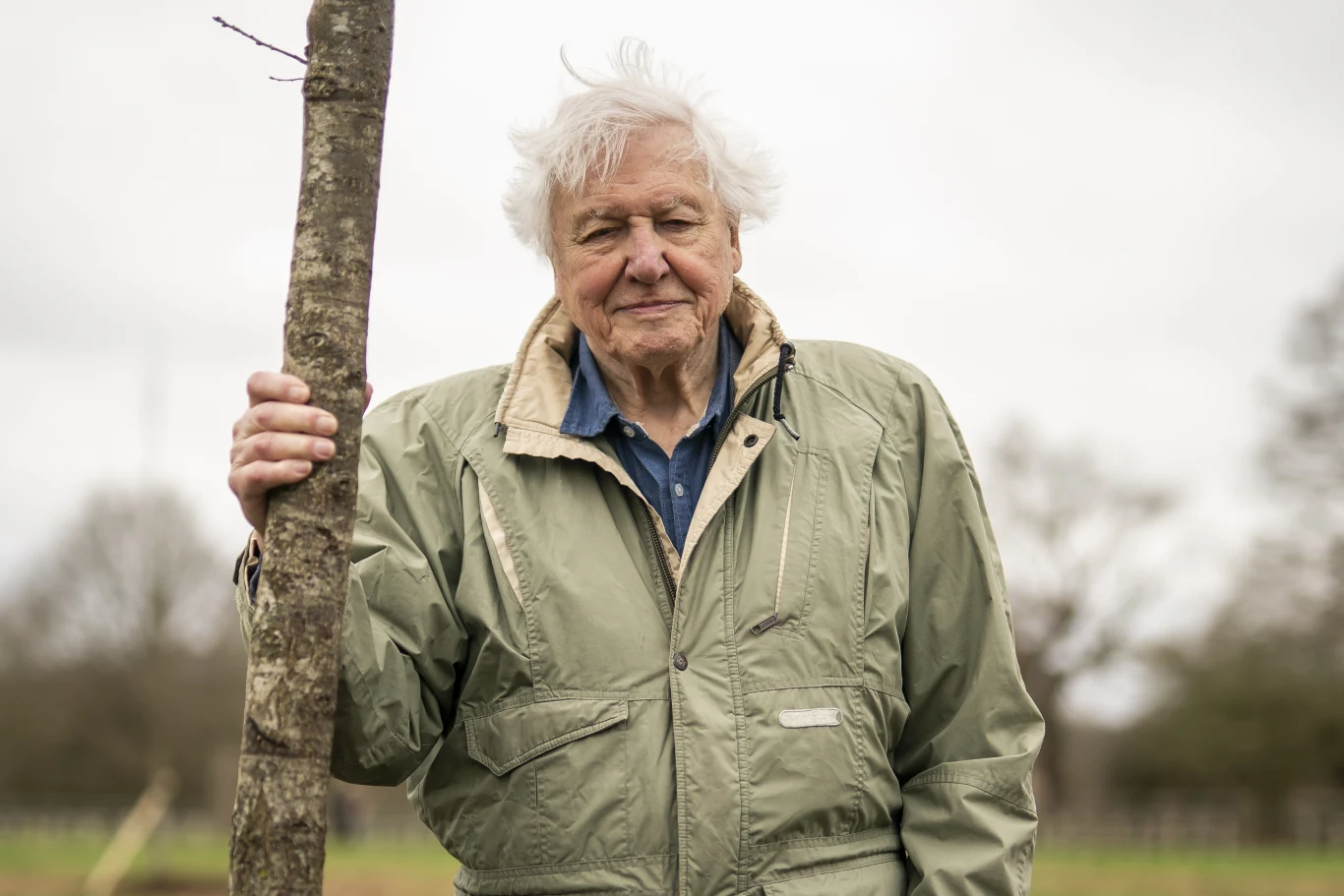 Sir David Attenborough to brytyjski biolog, popularyzator wiedzy przyrodniczej na świecie, pisarz, narrator i podróżnik Sir David Attenborough to brytyjski biolog, popularyzator wiedzy przyrodniczej na świecie, pisarz, narrator i podróżnik
