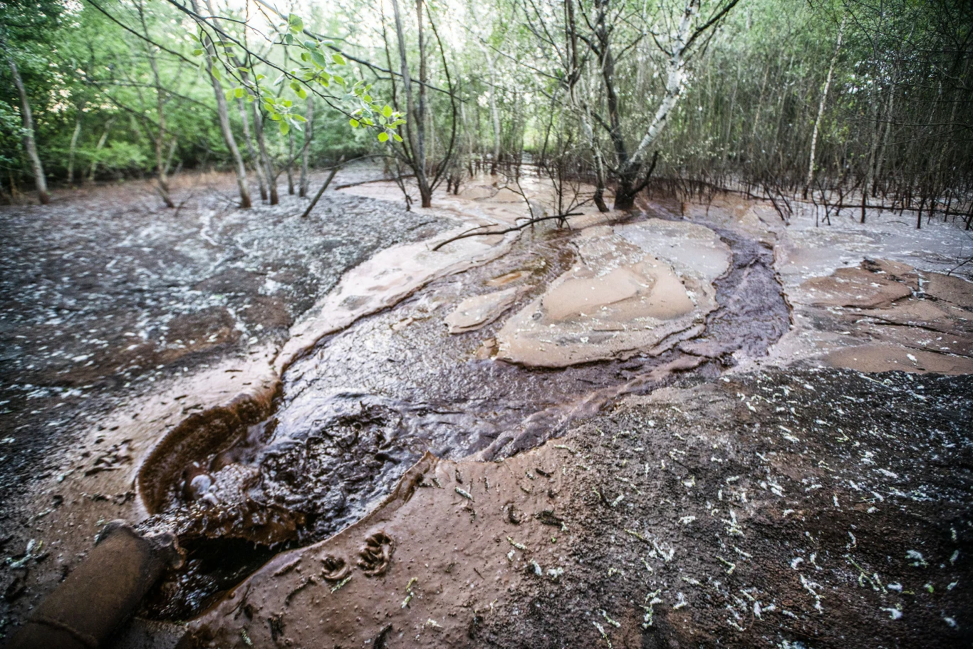 Teren przy ul. Dymarek Teren przy ul. Dymarek