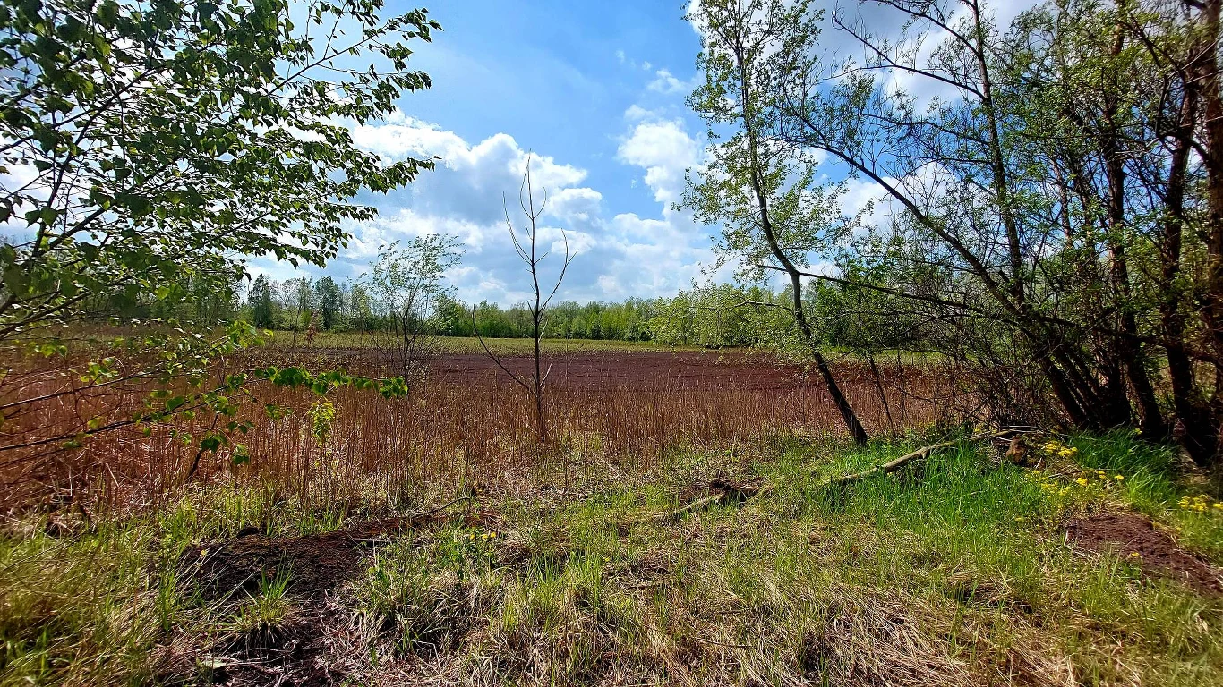 Rejon ulicy Dymarek Rejon ulicy Dymarek