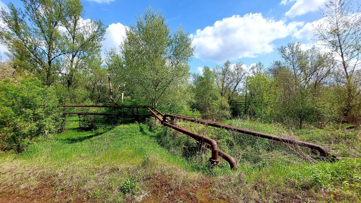 Rejon ul. Dymarek Rejon ul. Dymarek