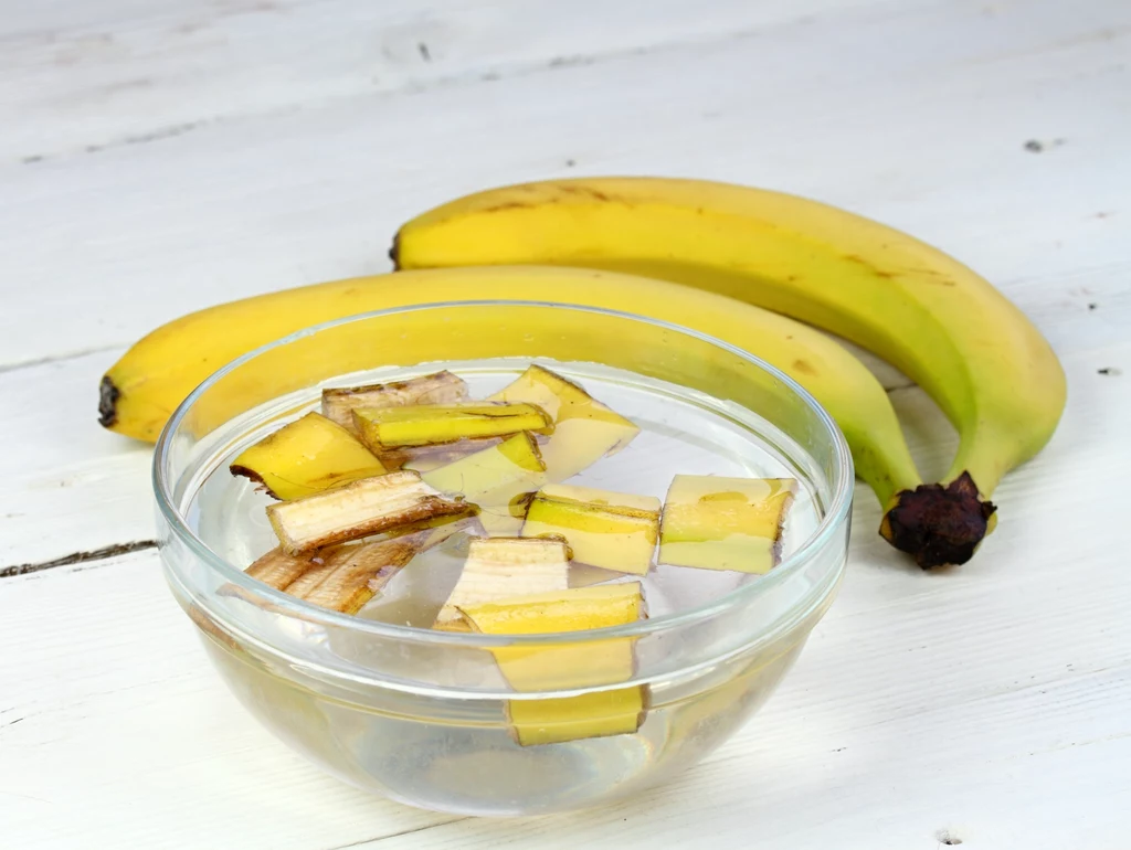 Nawóz ze skórki od banana świetnie się sprawdzi w przypadku pelargonii.