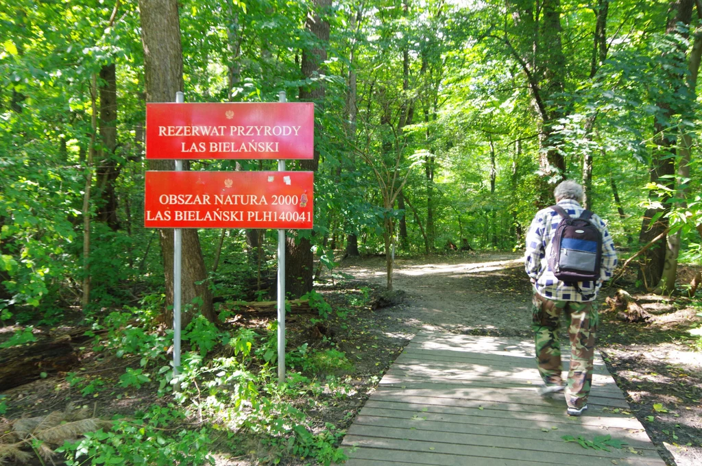 Zmiana w ustawie o ochronie przyrody, zakłada, że plany zadań ochronnych dla obszarów Natura 2000, obecnie opracowywane raz na 10 lat, staną się bezterminowe.