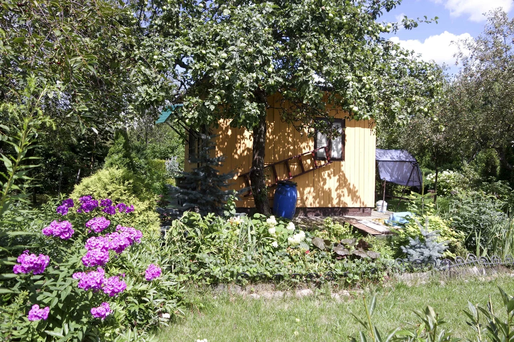 Obecnie w Polsce jest niemal 5 tys. rodzinnych ogródków działkowych