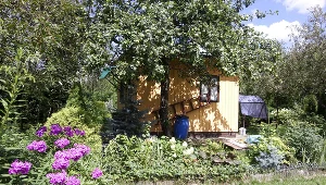 Dzierżawcy ogródków działkowych wyposażonych w pompy wodne, tzw. abisynki, mogą zapłacić grzywnę 