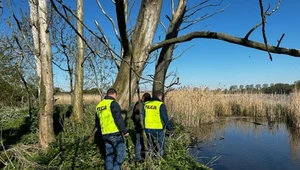 Podejrzani o zabicie piskląt i zdemolowanie gniazd mężczyźni, zostali zatrzymani przez policję