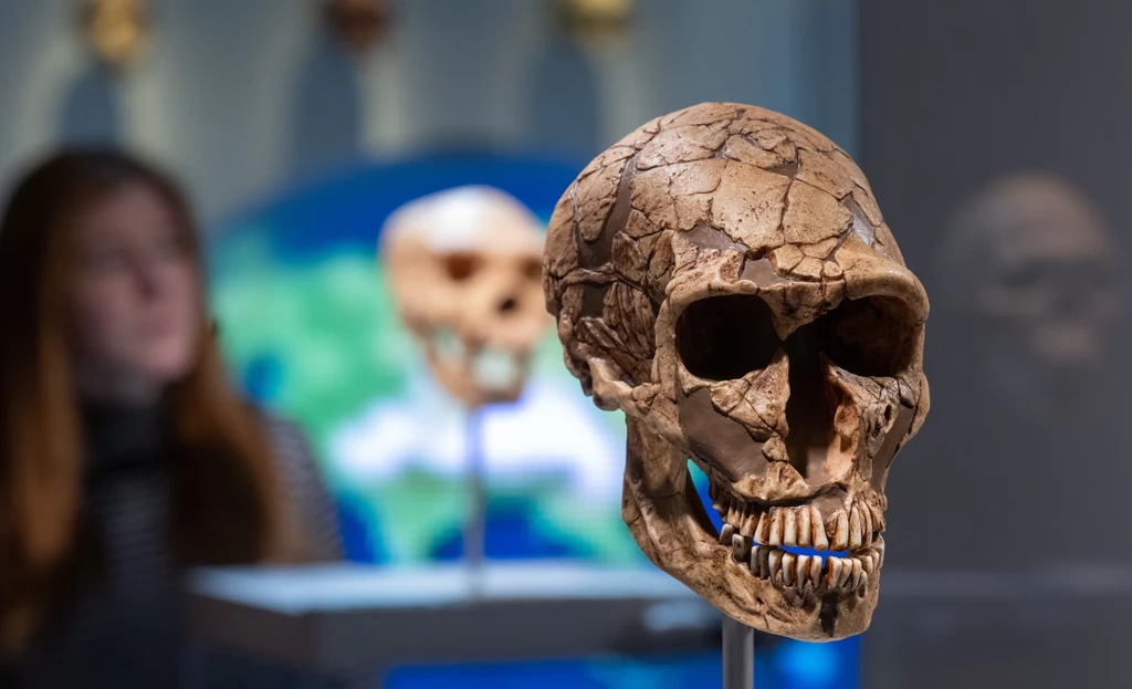 Lewant miejscem wspólnych rytuałów Homo sapiens i neandertalczyków. Były podobne, ale jednocześnie istotnie różne