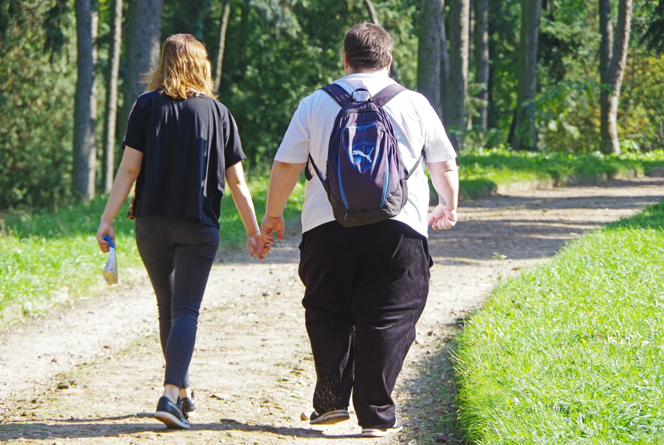 Otyłość jest jednym z czynników ryzyka udarowego Otyłość jest jednym z czynników ryzyka udarowego