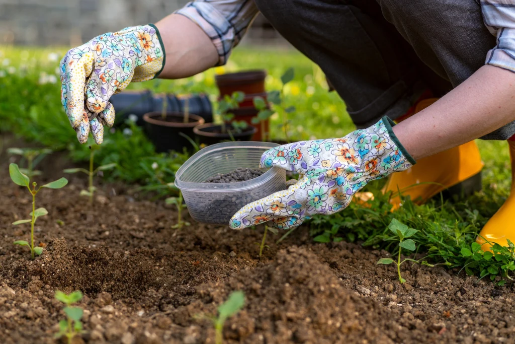 Kucanie i schylanie się w ogrodzie może prowadzić do kontuzji kolan lub kręgosłupa, zwłaszcza w odcinku lędźwiowym