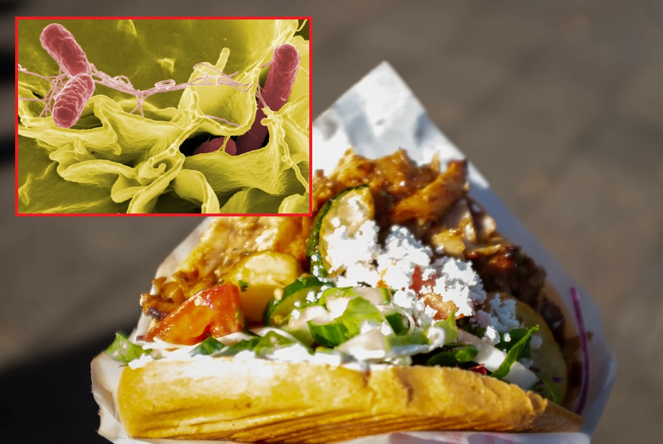 Salmonella w kebabie. Afera gastronomiczna w Polsce. Salmonella w kebabie. Afera gastronomiczna w Polsce.