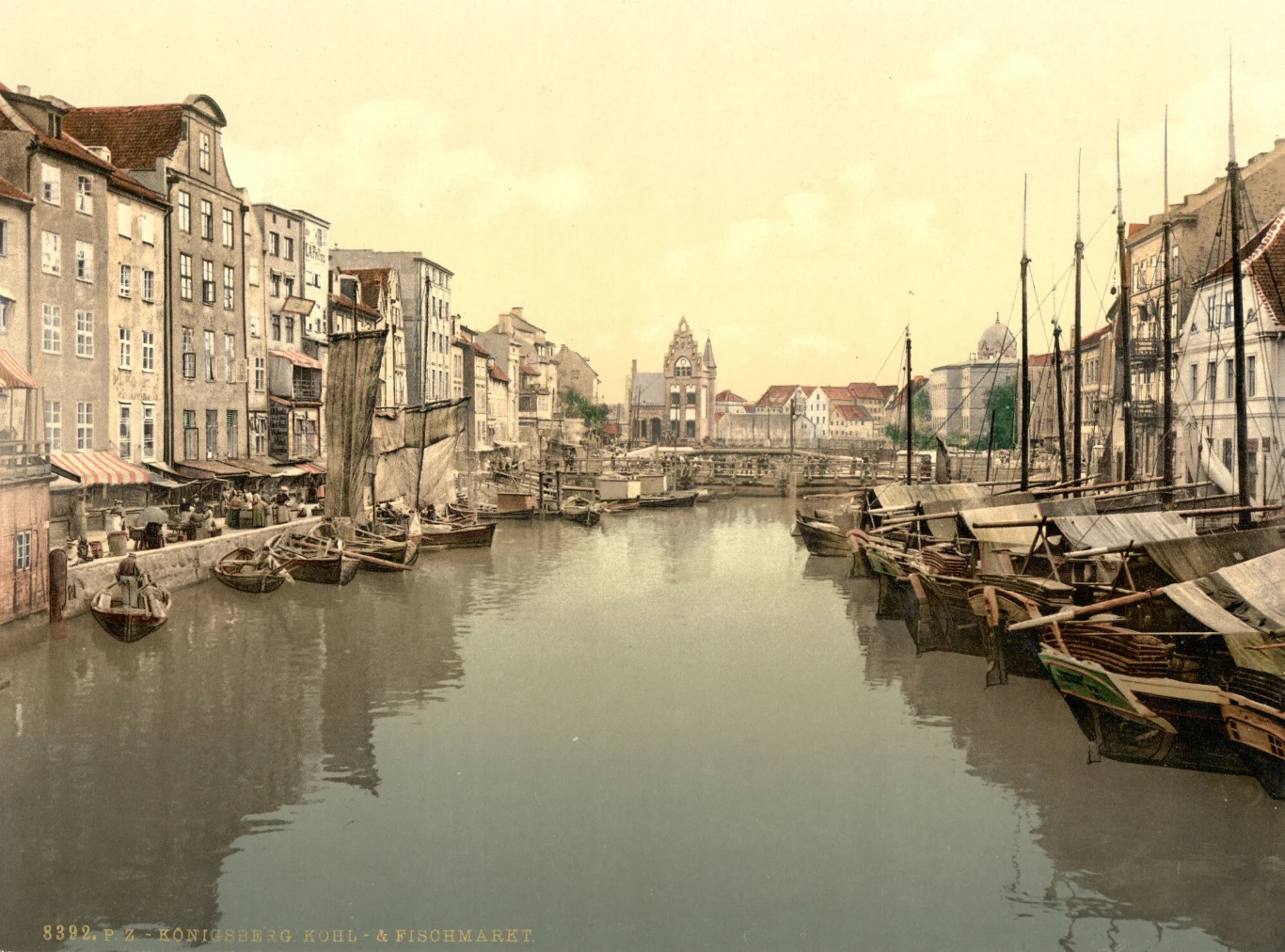 Pod koniec XIX wieku Królewiec wciąż był prężnym miastem niemieckim Pod koniec XIX wieku Królewiec wciąż był prężnym miastem niemieckim