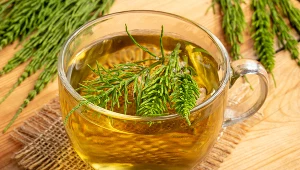 Skrzyp polny kojarzony jest przede wszystkim z pozytywnym działaniem na włosy i paznokcie. Ale warto wiedzieć, że ma też inne zalety