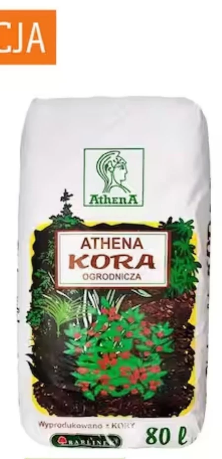 Kora ogrodowa