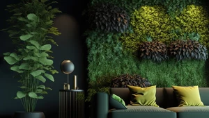 Zielona ściana i ogród w salonie. Co posadzić, jak pielęgnować i podlewać?