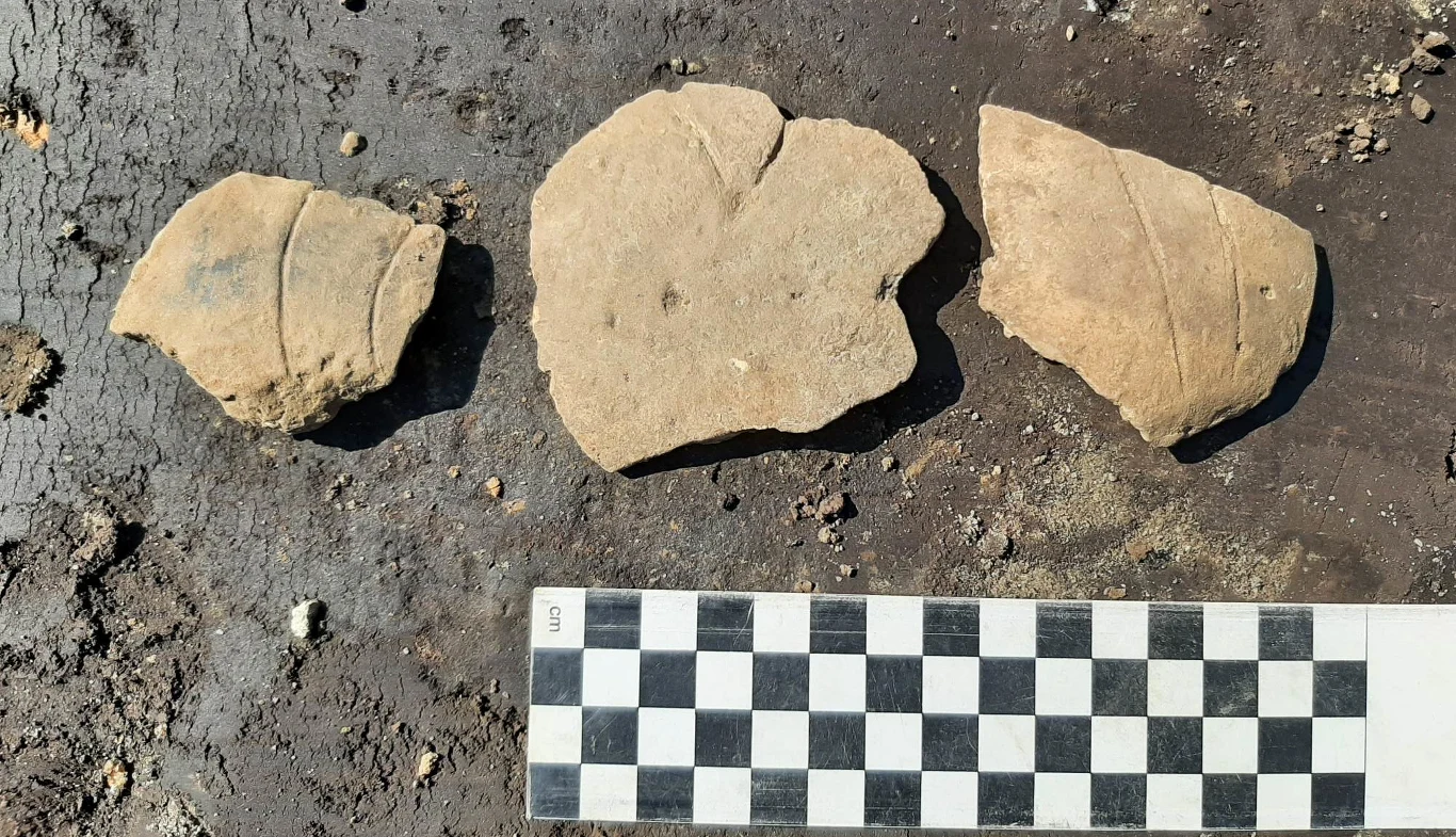 Fragmenty ceramiki odkryte w Słomnikach Fragmenty ceramiki odkryte w Słomnikach