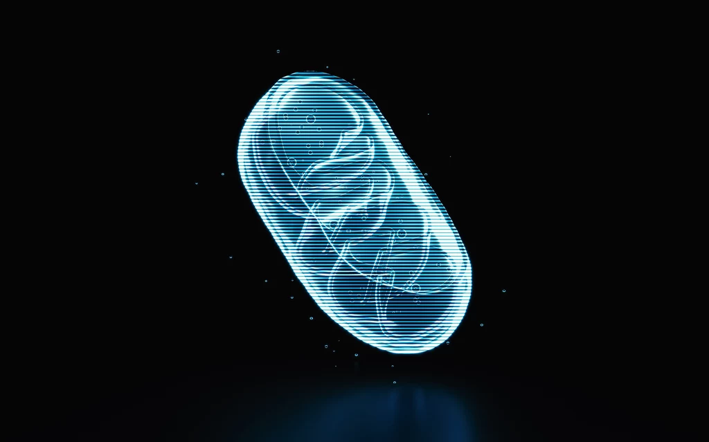 Wadliwe mitochondria mogą prowadzić u nowo narodzonych dzieci do takich schorzeń jak dystrofia mięśniowa, choroby serca czy epilepsja. W wyniku chorób spowodowanych przekazaniem wadliwych mitochondriów część dzieci umiera w pierwszych latach życia