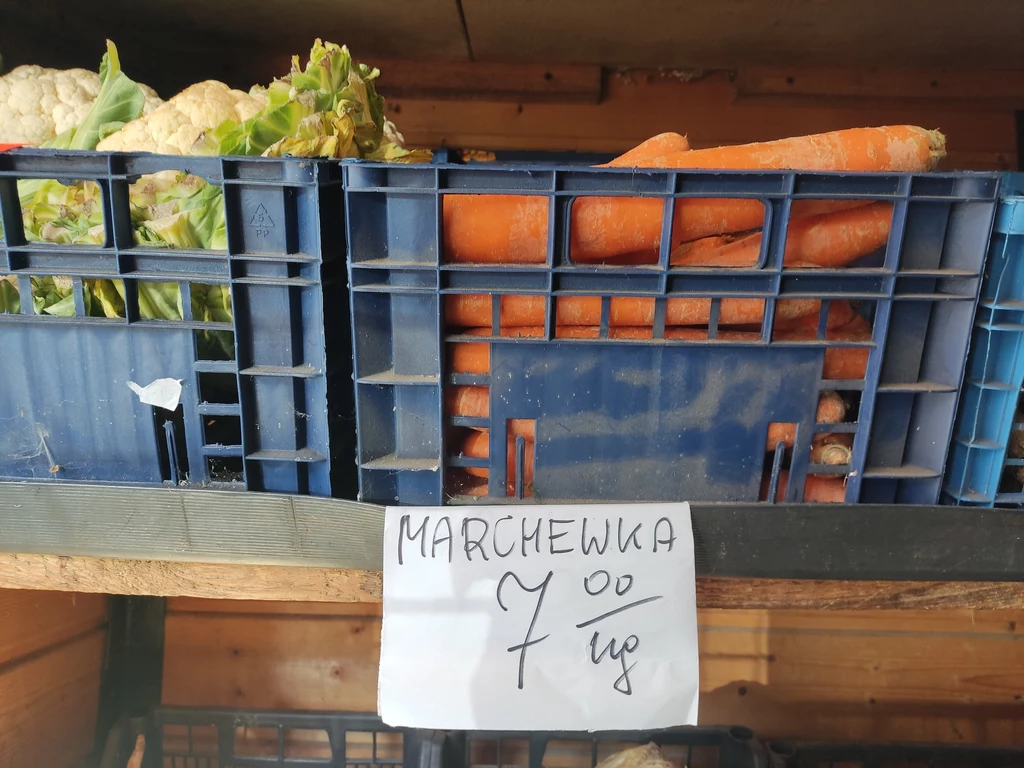 Obecnie za kilogram marchewki trzeba zapłacić 7-8 złotych