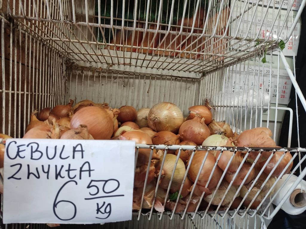 Średnia cena za kilogram cebuli wynosi około 7 złotych, ale na niektórych stoiskach oferowana jest także po prawie 9 złotych