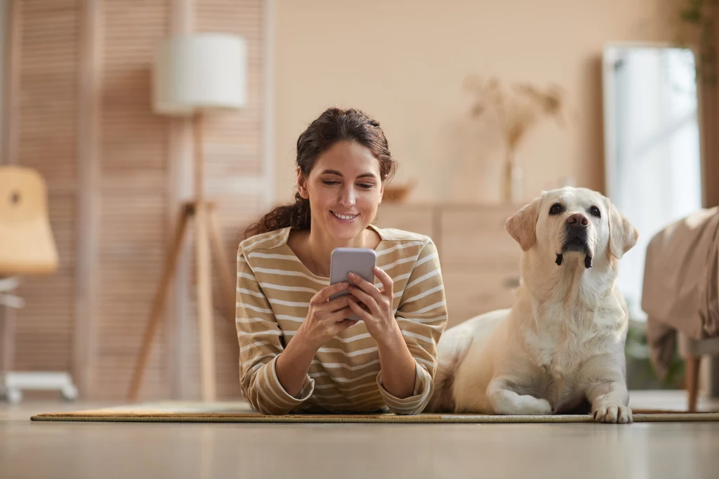 Jak połączyć telefon z telewizorem? Obraz z telefonu na telewizor można przenieść przez WiFi.