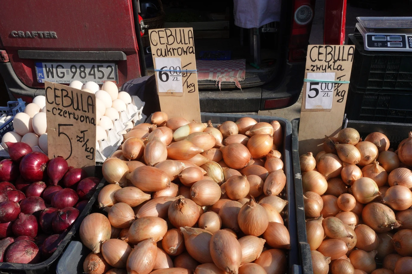 Cebula ma potanieć po tegorocznych zbiorach