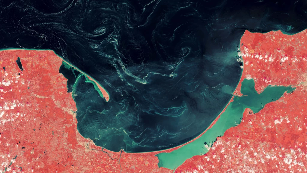 Pracownikom NASA udało się zarejestrować morskie wiry na Bałtyku na zdjęciach satelitarnych