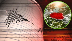 Trzęsienie ziemi na Pomorzu? Wykryli je Duńczycy