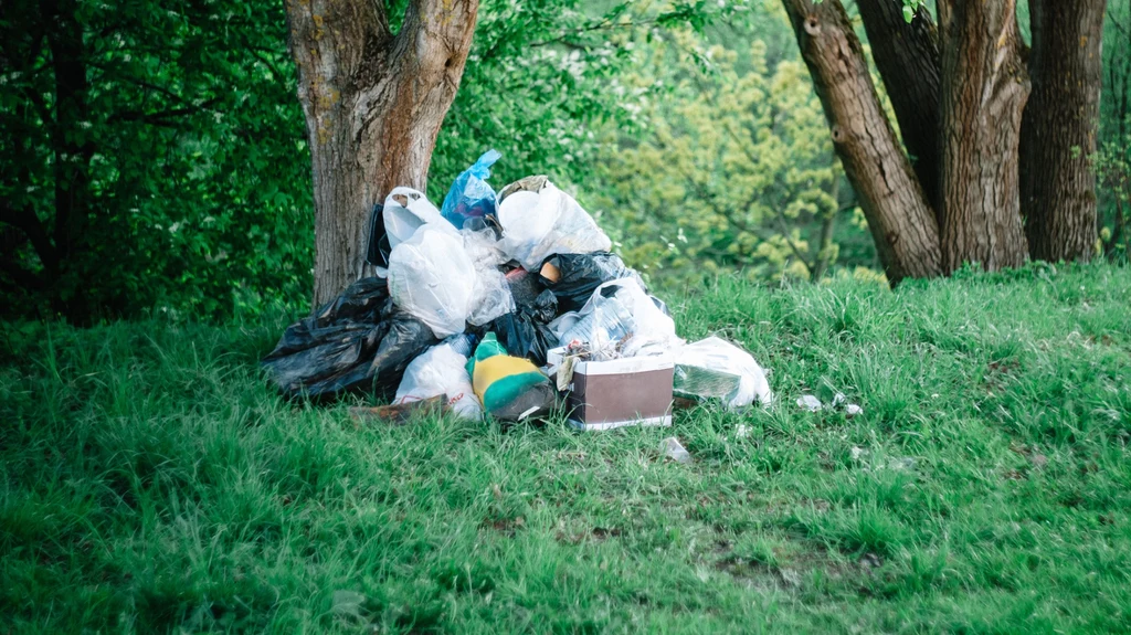 Dzięki aplikacjom i formularzom utworzonym przez Główny Inspektorat Ochrony Środowiska udało się usunąć w Polsce już 350 dzikich wysypisk śmieci 
