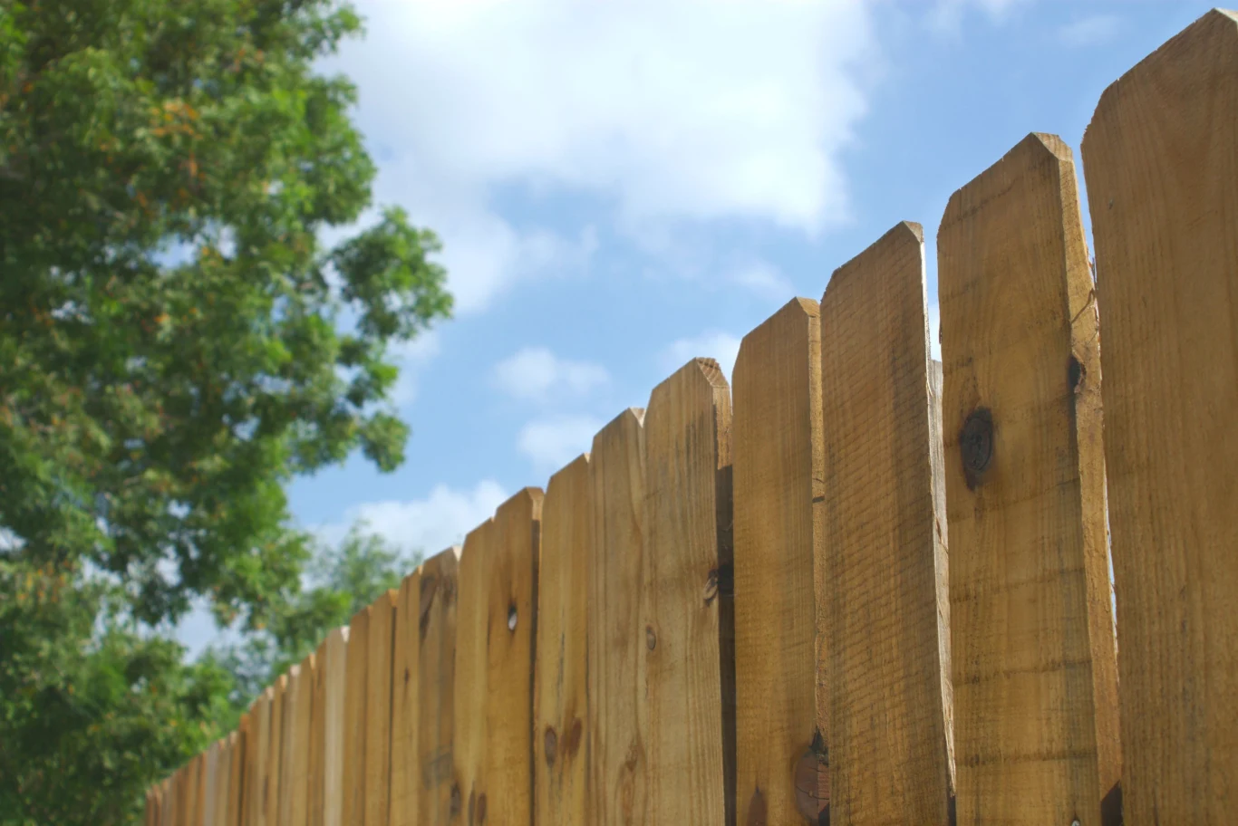 Jak dbać o drewniane ogrodzenie? Dzięki temu sposobowi pozbędziesz się mchu Jak dbać o drewniane ogrodzenie? Dzięki temu sposobowi pozbędziesz się mchu