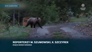 Niedźwiedzie podchodzą coraz bliżej. Mieszkańcy chcą je odstraszać