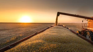 Komisja Europejska zatwierdziła, zgodnie z unijnymi zasadami pomocy publicznej, program Polski o wartości 1,3 mld euro, który ma wesprzeć producentów rolnych