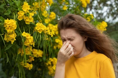 Alergia na pyłki