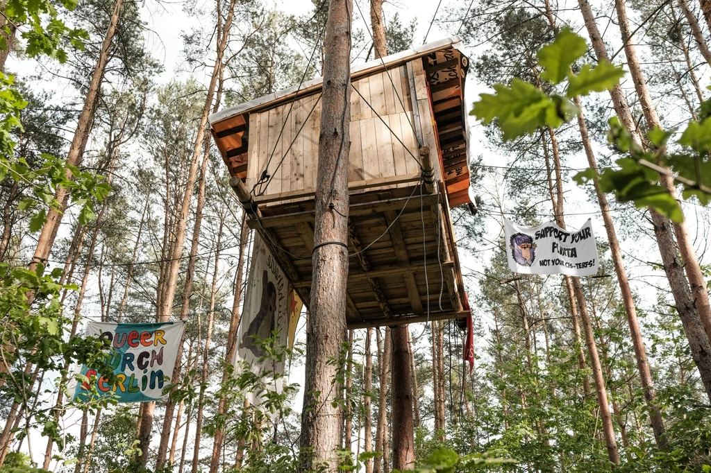 W Berlinie zlikwidowano obóz aktywistów w lesie Wuhlheide. Protestujący sprzeciwiają się budowie drogi, która ma prowadzić przez tereny zieleni
