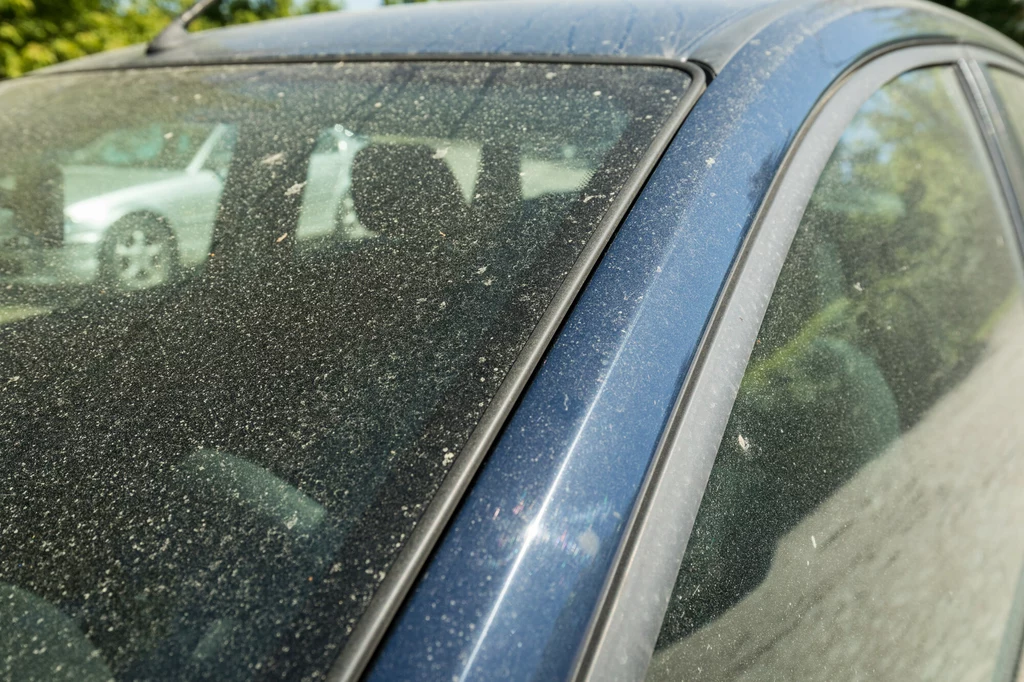 "Brudne deszcze" zostawiają po sobie osad widoczny m.in. na samochodach, oknach i parapetach, a także innych przedmiotach i powierzchniach wystawionych na zewnątrz