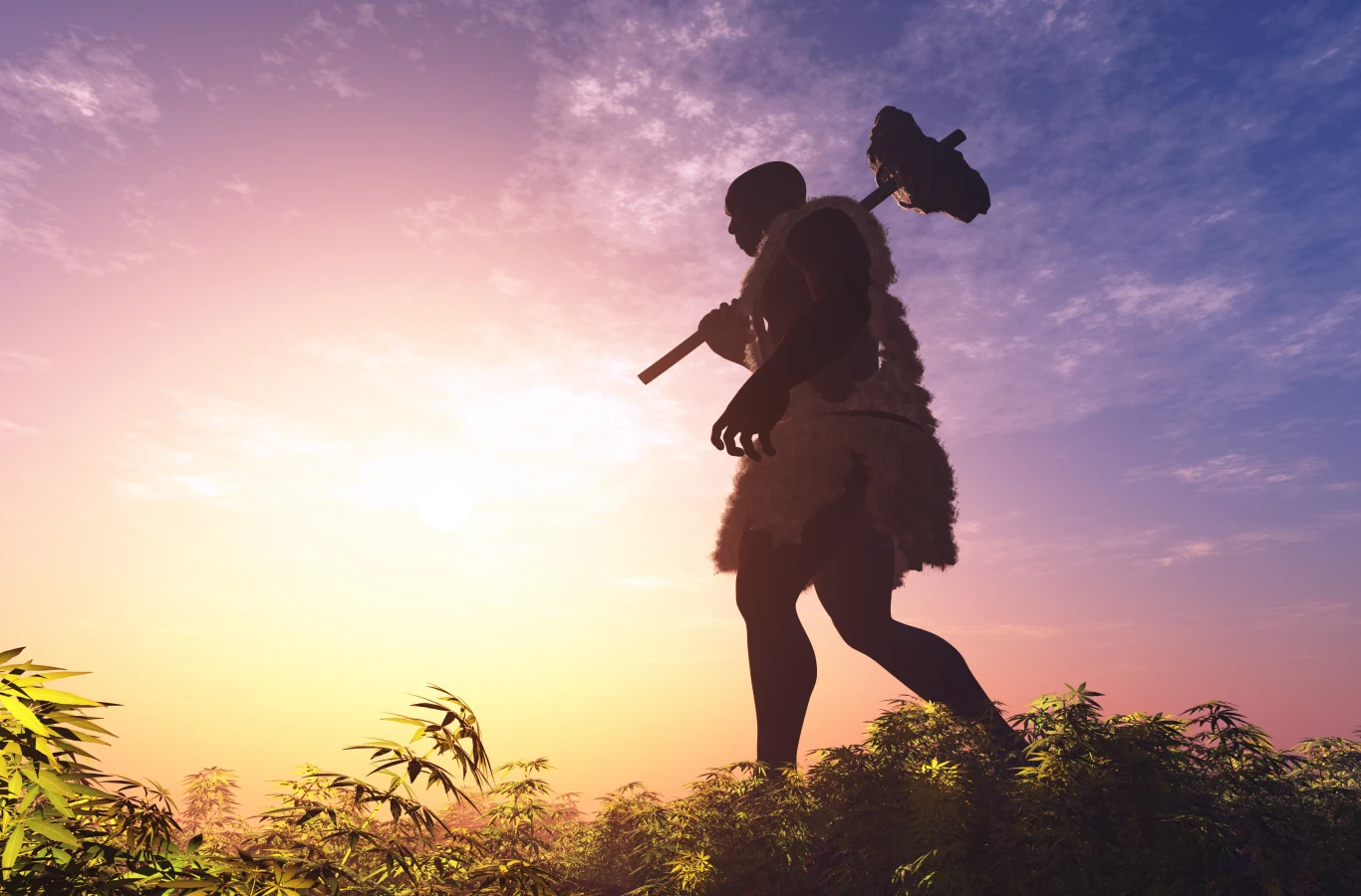 W Niemczech zidentyfikowano ślady H. heidelbergensis, przodka człowieka i neandertalczyka W Niemczech zidentyfikowano ślady H. heidelbergensis, przodka człowieka i neandertalczyka