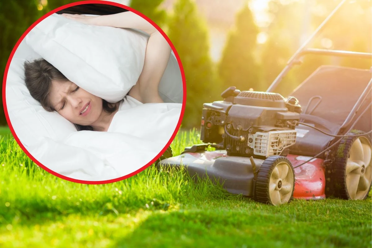 Koszenie trawnika może wywoływać sąsiedzkie spory