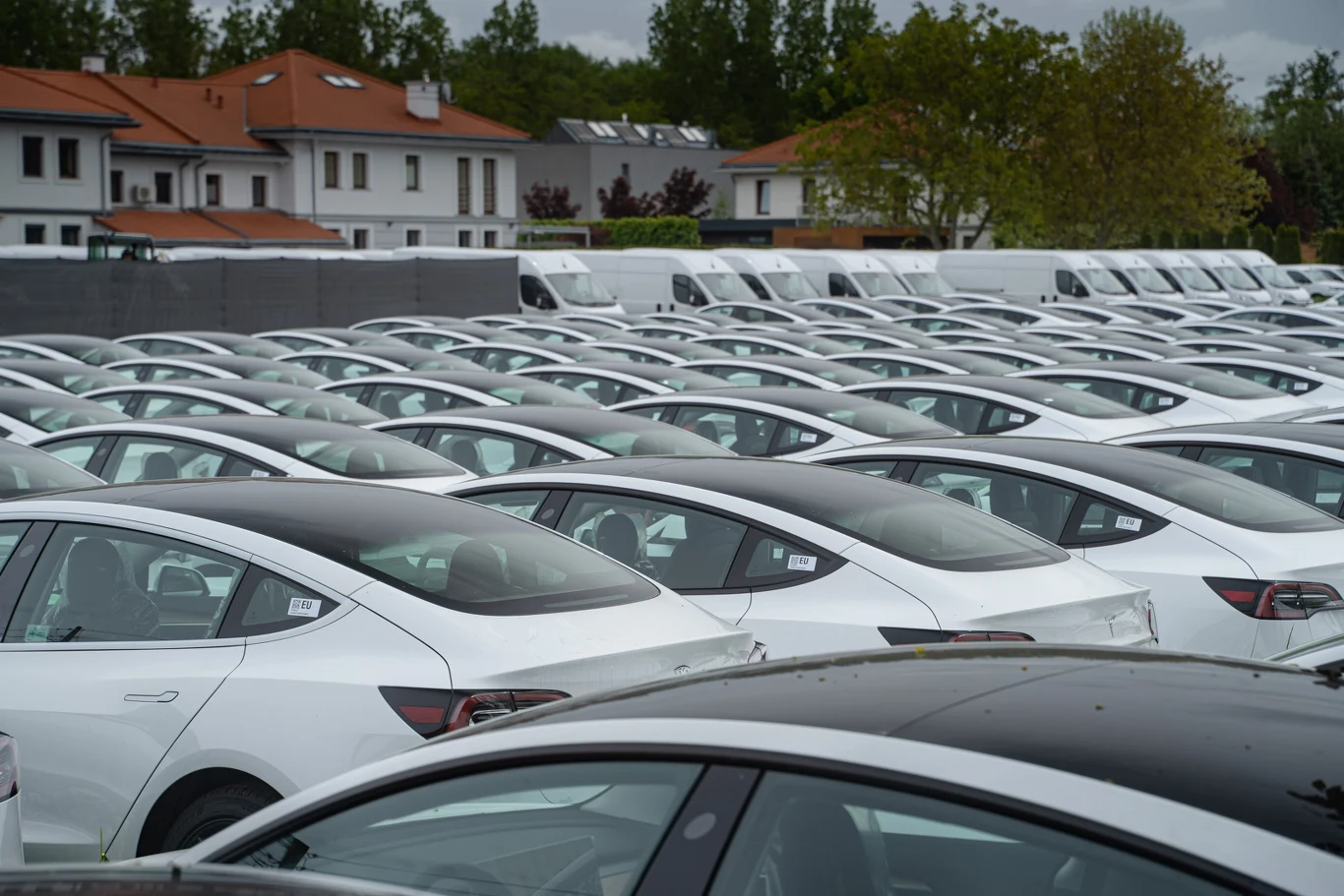 Widok tylu Tesli obok siebie robi ogromne wrażenie